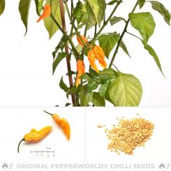 Fatalii Yellow Chilli Seeds 