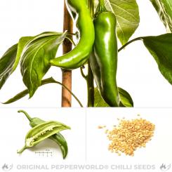 NuMex Sandia Organic Chilli Seeds 