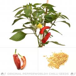 Hot Banana Chili Seeds 