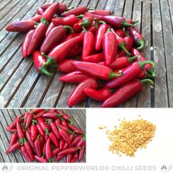 Jalapeno Agriset Chilli Seeds 