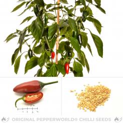 Jalapeño False Alarm Chilisamen 