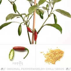Jalapeno Summer Heat Chili Seeds 