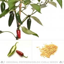 Jalapeno Valor Chilisamen 