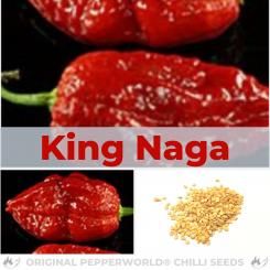 King Naga Chilli Seeds 