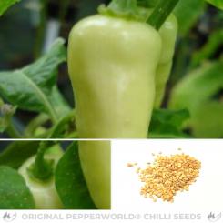 Aji Limanero Blanco Chilisamen 