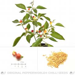 Marbles Chilisamen 