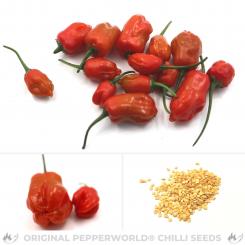 Polombo Chilli Seeds 