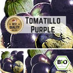 BIO Tomatillo Purple  (Physalis ixocarpa) Samen 