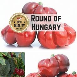 Round of Hungary Chilli Seeds 