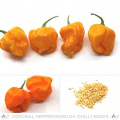 Aji Dulce Amarillo Chilisamen 