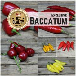 Seed Assortment 'Baccatum Boost' 