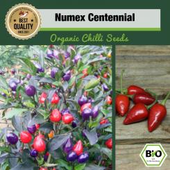 BIO NuMex Centennial Chilisamen 