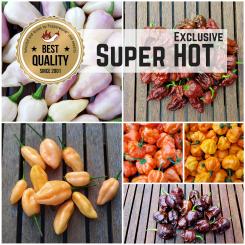 Seed Assortment 'Super Hot Exclusive' 