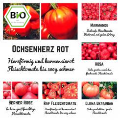 Bio Saat Sortiment Fleischtomate- 5 unterschiedliche Sorten inklusive einer extra Berner Rose-Tomate 
