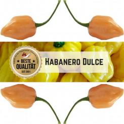 Habanero Dulce Chilli Seeds 