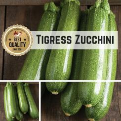 Tigress Zucchini Seeds 