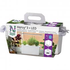 Hydroponik Harvy 3 PLUS LED 