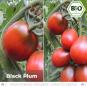 Organic Black Plum tomato seeds (salad tomato)