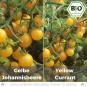 Organic Yellow currant tomato seeds (wild tomato)