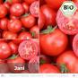 Organic Jani tomato seeds (salad tomato)