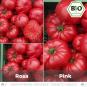 BIO Rosa Tomatensamen (Fleischtomate)