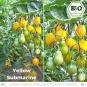 BIO Yellow Submarine Tomatensamen (Cocktailtomate)