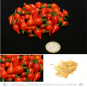 Biquinho Vermelho Chilisamen
