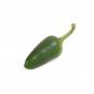 Frische Chili Jalapeno grün, 400g