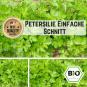 BIO Petersilie (Einfache Schnitt) Samen