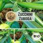 BIO Zucchini (Zuboda) Samen