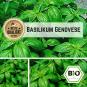 BIO Basilikum Genovese Samen