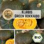 Green Hokkaido (pumpkin) seeds