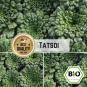 Asia Vegetable Tatsoi Seeds