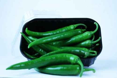 Frische grüne Peperoni Frische grüne Peperoni