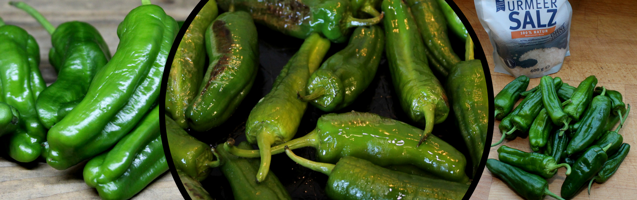 Pimientos de Padron gebraten