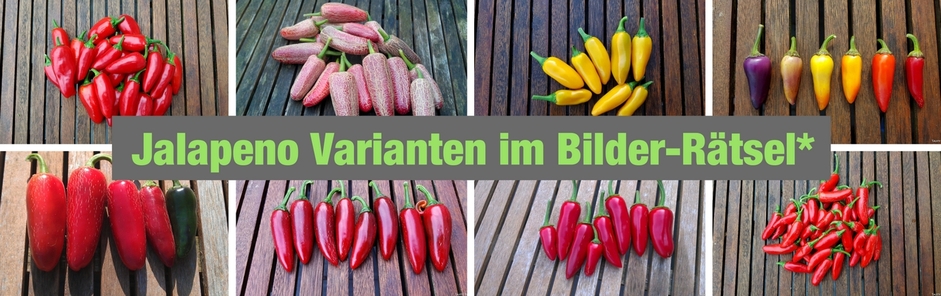 Unterschiedliche Jalapenos im Bilderrätsel